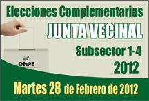 elecciones-complementarias