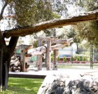 EL Bosque EL Olivar