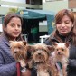 Campana Veterinaria5