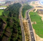 Arborización en la nueva autopista de la Costa Verde con la instalación de 34 palmeras.